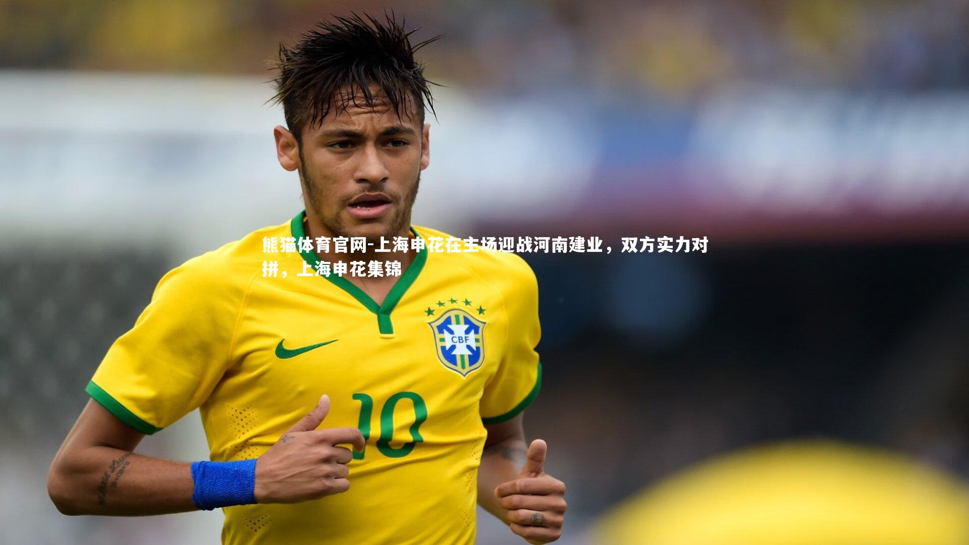 上海申花在主场迎战河南建业，双方实力对拼，上海申花集锦