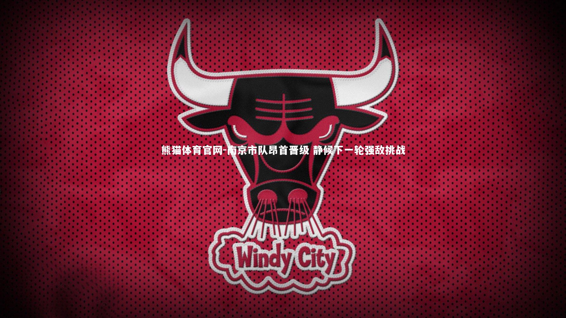 南京市队昂首晋级 静候下一轮强敌挑战